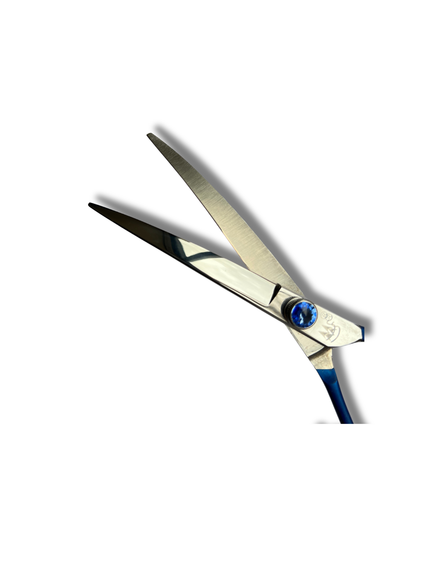 BFZ-65 apprentice curved scissor 6.5"