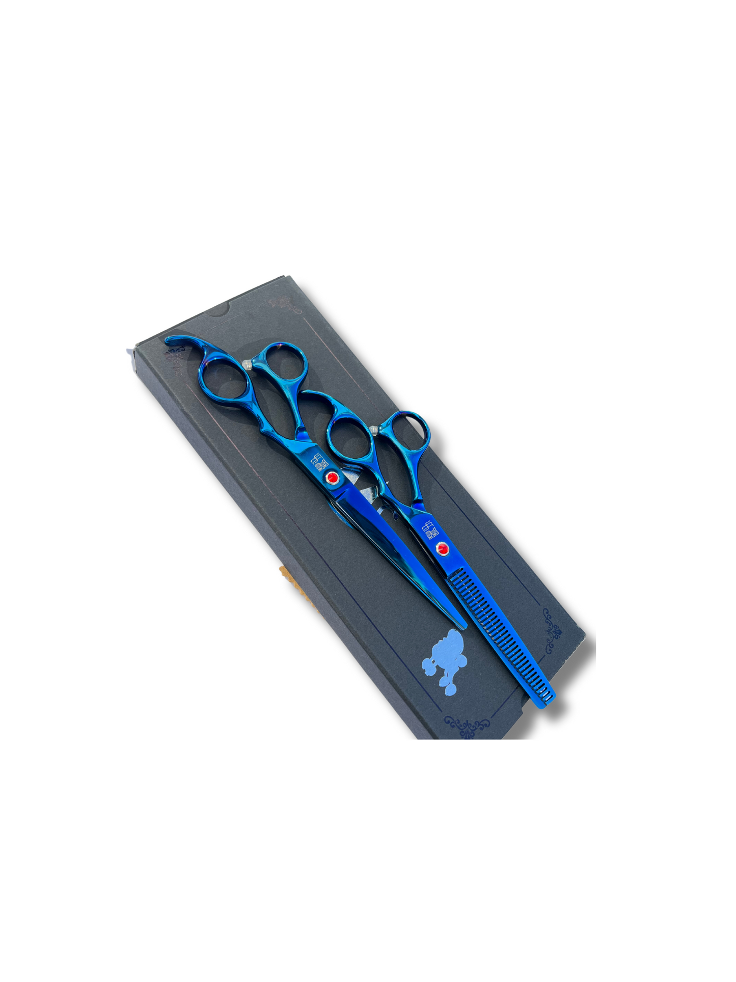Apprentice scissors set of 3 - Blue