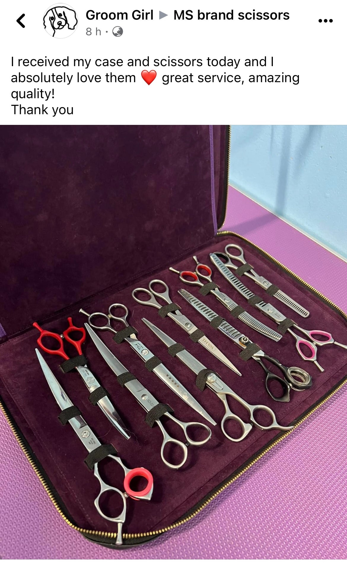 Scissors case 20 pair