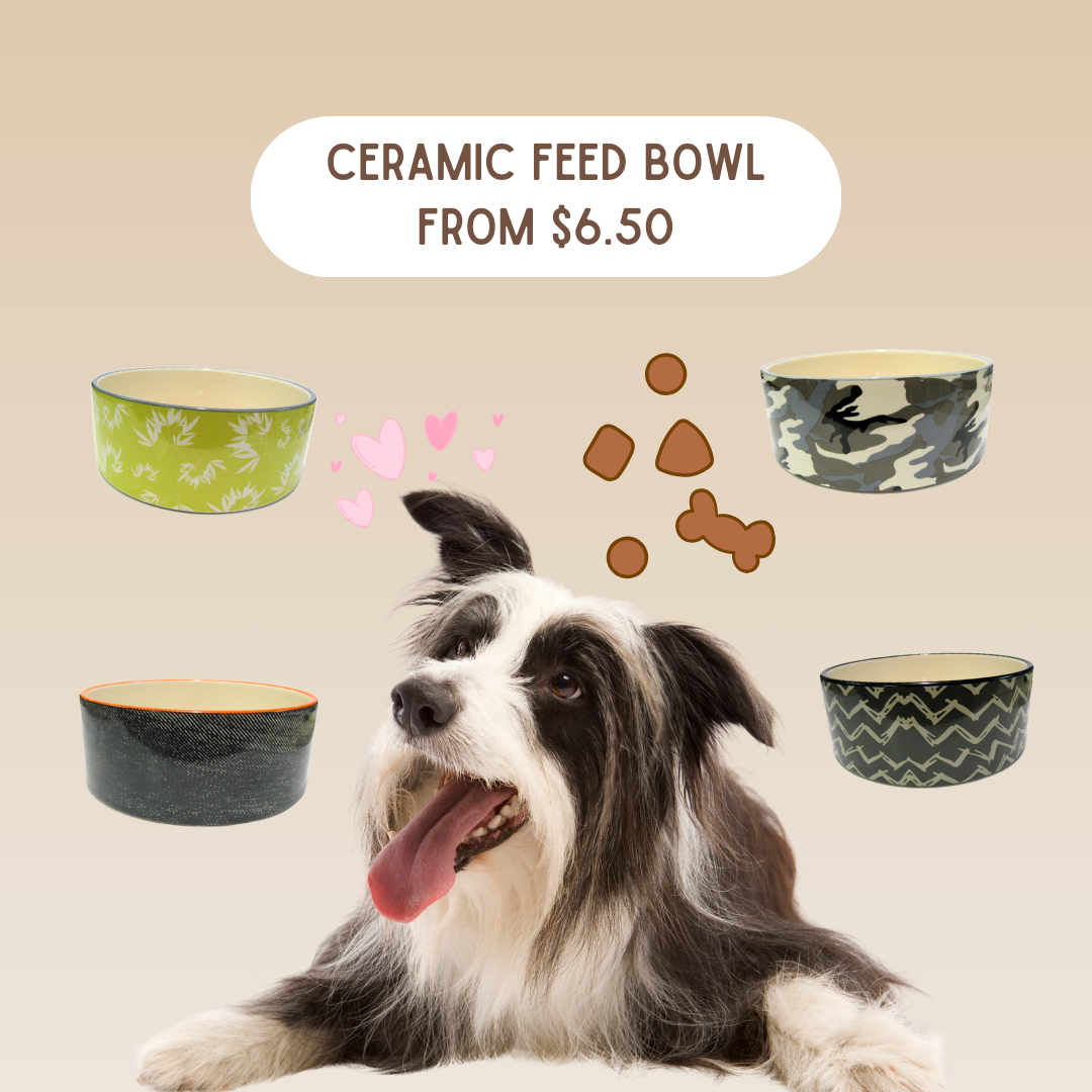 Ceramic dog feeding bowl - Small